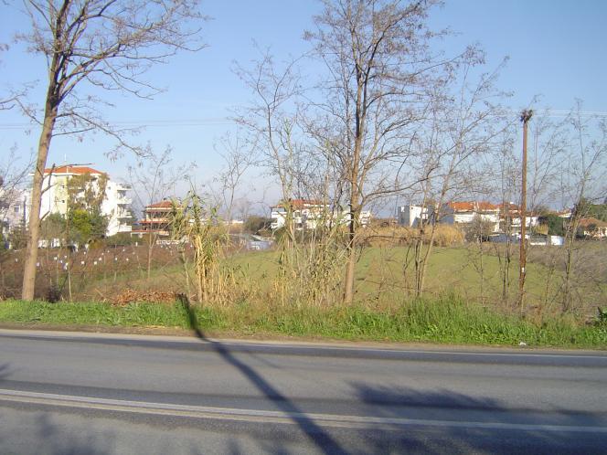 property-img