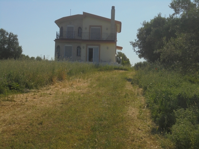 property-img