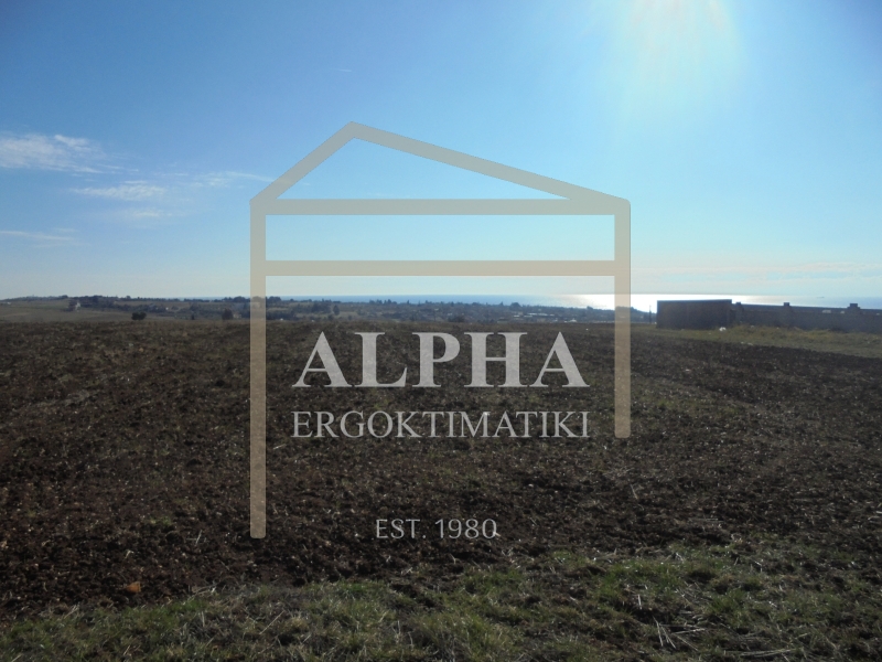 property-img