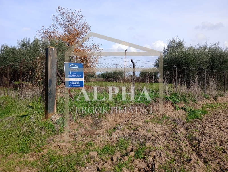 property-img
