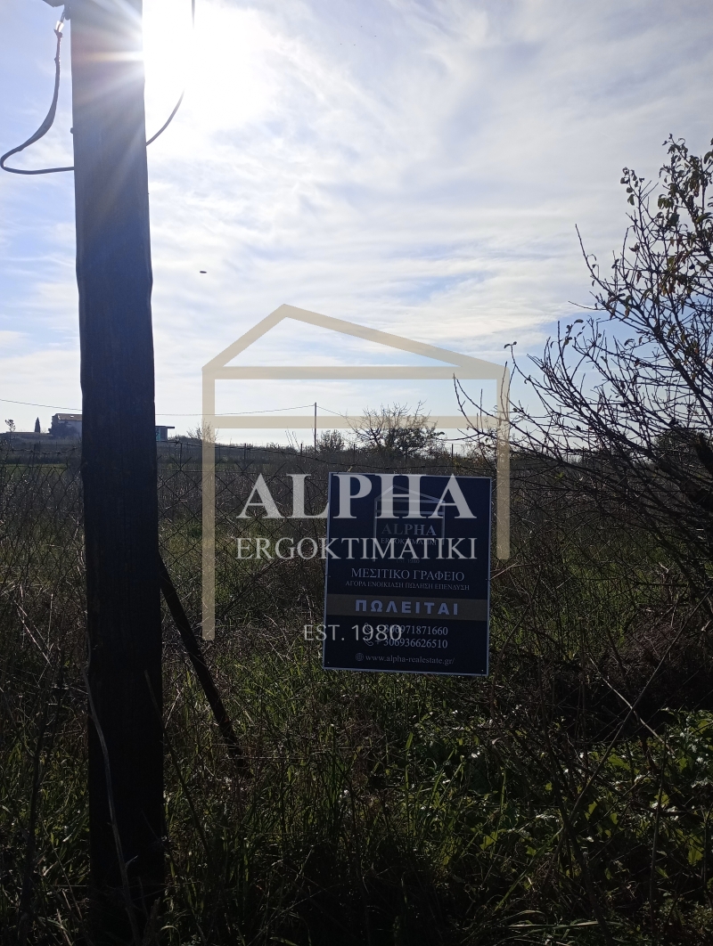 property-img