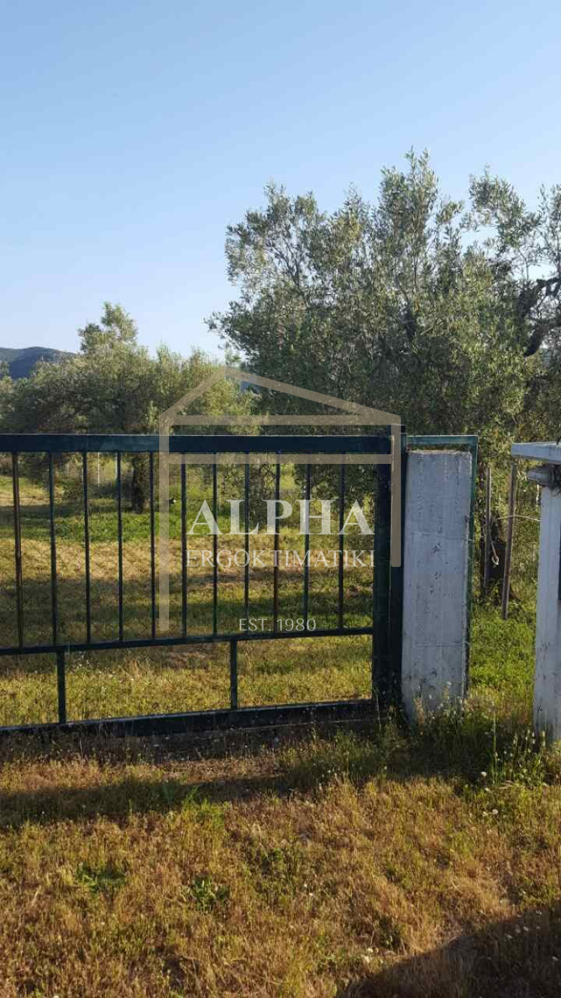 property-img