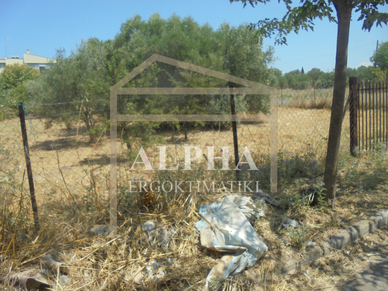 property-img