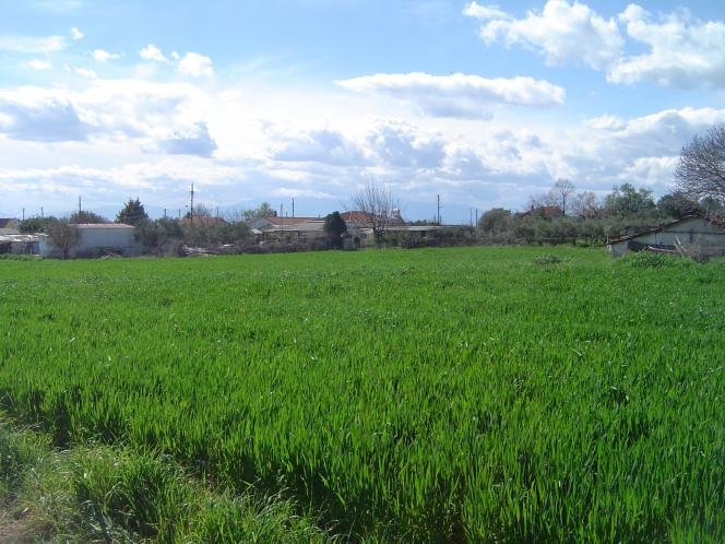 property-img