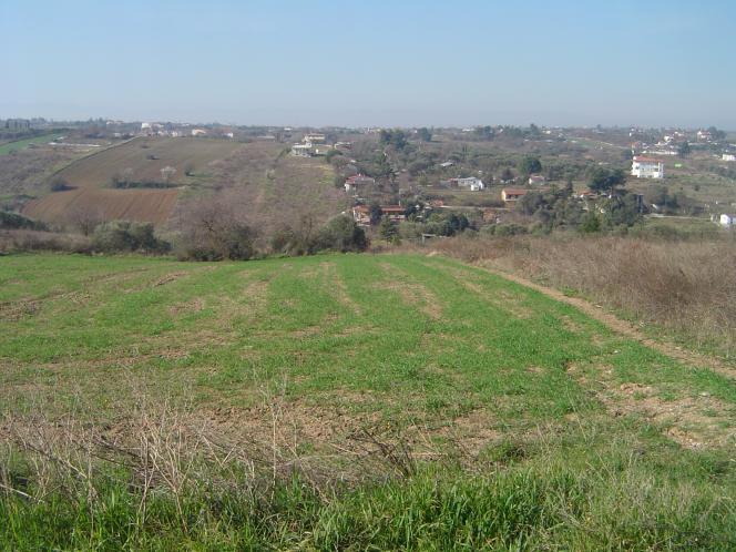 property-img